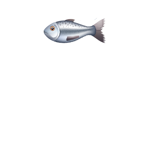 SBS PESCADOS PREMIUM